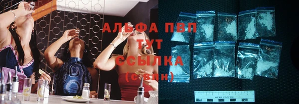 спайс Баксан