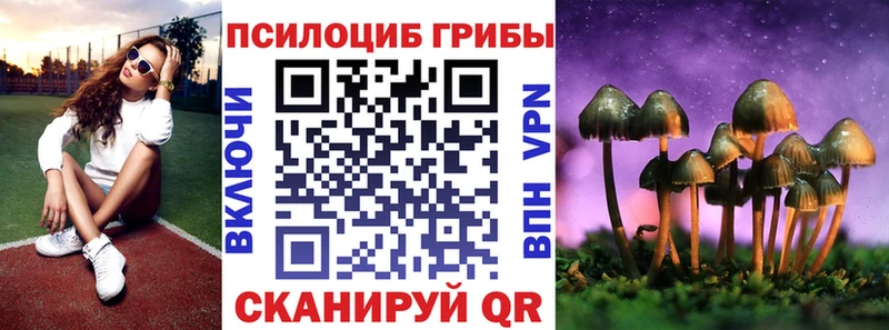 ссылка на мегу вход  Новый Оскол  Галлюциногенные грибы Psilocybine cubensis  цена наркотик 